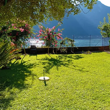 Giardino Sul Lago, La Vigna *