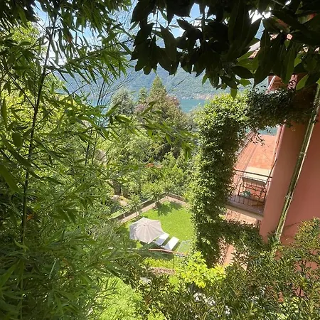 Giardino Sul Lago, La Vigna