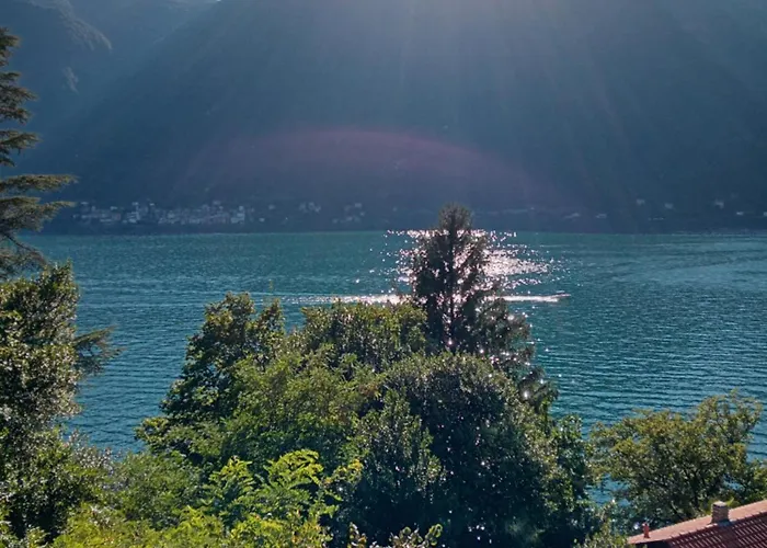 Giardino Sul Lago, La Vigna