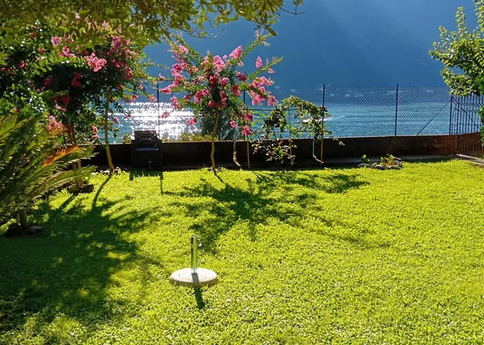 Giardino Sul Lago, La Vigna *