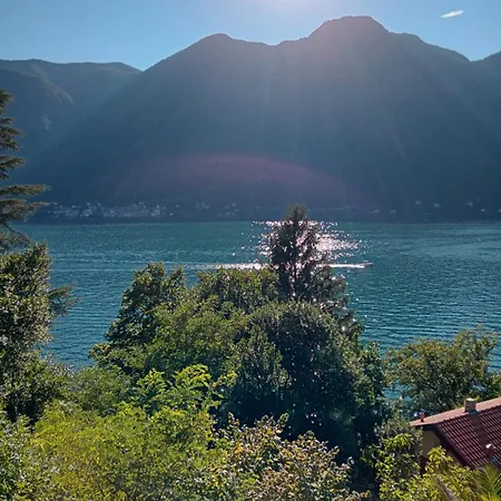 Giardino Sul Lago, La Vigna